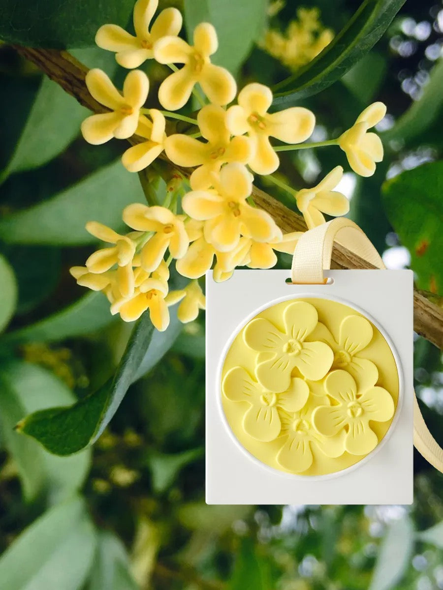 Car Aromatherapy Hanging Pendant,Car Air Freshener, Clothing Hanger,lasting fragrance, promoting metabolism, Effectively Absorb Odors, Handmade Carved Artworks