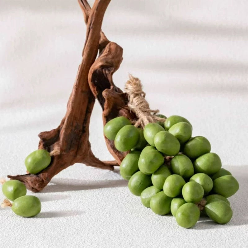 π Grape Soap Series β Bubbly Grapes That Come to Life