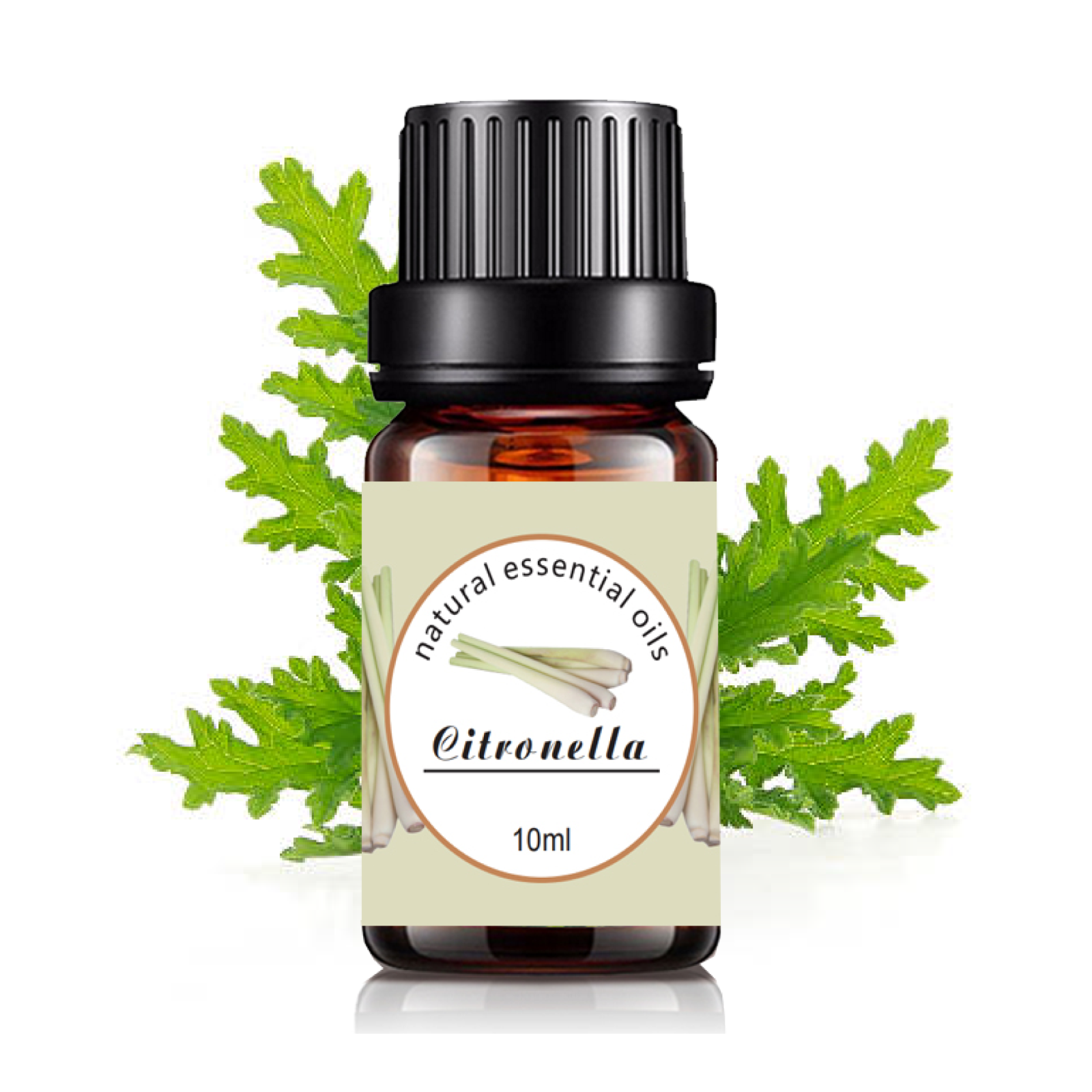 100% organic pure natural Healthy Essential Oil