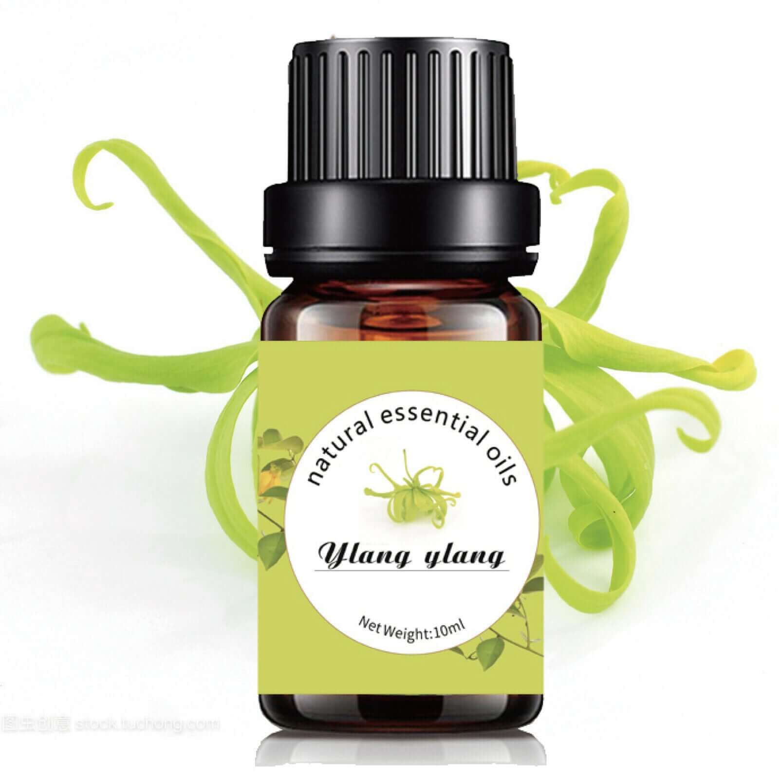 100% organic pure natural Healthy Essential Oil