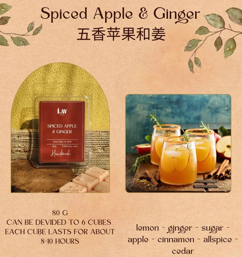 Spiced Apple & Ginger (Fall24 Collection) - Handmade Wax Melts