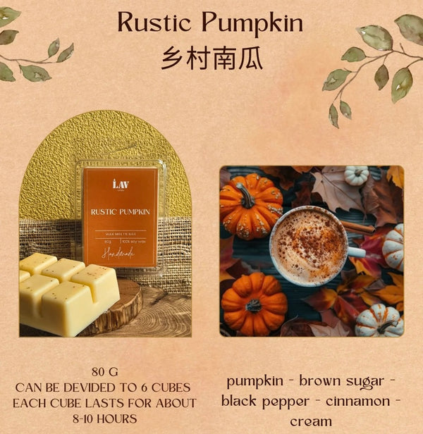 Rustic Pumpkin (Fall24 Collection) - Handmade Wax Melts